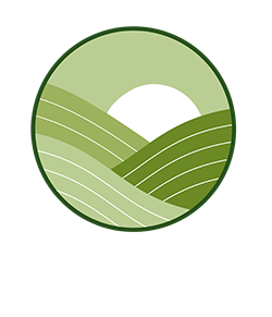 SUR LES CHEMINS DE LA VIE.  Ombres et Lumière, la beauté du parcours.